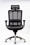 Mesh Office Chair with Leather Seat - High Back & Fully Adjustable - Ships in 24 Hours with Money Back Guarantee!