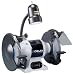 DELTA GR350 Shopmaster 8-Inch Bench Grinder with Lamp
