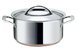 Raymond Blanc by Anolon Stainless Steel Covered Stockpot, 24 cm, 5.4 Litre  from Raymond Blanc by Anolon
