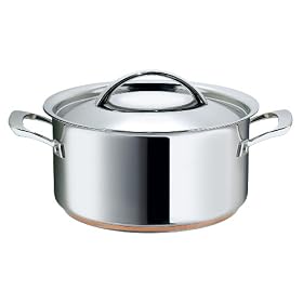 Raymond Blanc by Anolon Stainless Steel Covered Stockpot, 24 cm, 5.4 Litre