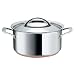 Raymond Blanc by Anolon Stainless Steel Covered Stockpot, 24 cm, 5.4 Litre