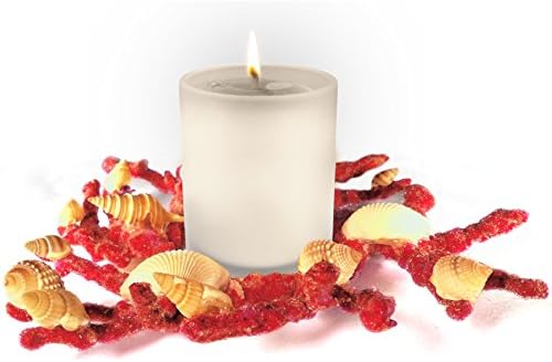 Fortune Share Single Decorative Candle Set with Real Seashell Candle Ring - Great for Displaying &amp; Decorating