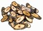Natural Walnut Wood Rune Stone Set