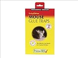The Big Cheese - Mouse Glue Trap x 2