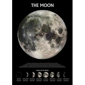 Posters: Espace Et Univers Poster - La Lune (91 x 61 cm)