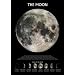 Posters: Espace Et Univers Poster - La Lune (91 x 61 cm)