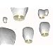 10 X HIGH FLYER CHINESE SKY LANTERNS TM 100% BIODEGRADABLE