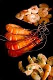 Shrimp Selection - 18