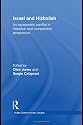 Israel and Hizbollah: An Interstate and Asymmetric War in Perspective (Middle Eastern Military Studies)
