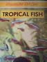 Tropical Fish (Responsible Pet Care)