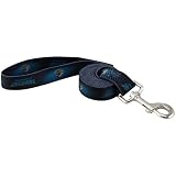 NFL Jacksonville Jaguars 6' Black Large Pet Leash (Large)