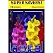 Gladiola Bulbs, 18PK MIX GLADIOLA BULBS