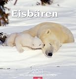 Eisbären 2011