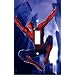 Spiderman Decorative Switchplate Cover