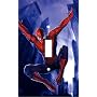 Spiderman Decorative Switchplate Cover