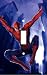 Spiderman Decorative Switchplate Cover Image