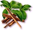 moroccan blend decaffeinated tea