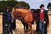 Bush Skins Riding Coat