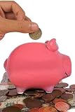Business Savings in a Piggy Bank - 24