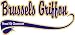 Brussels Griffon Breed of Champion Apron