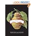In Late Winter We Ate Pears: A Year of Hunger and Love--Seasonal Recipes and Stories From an Italian Kitchen