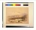 Historic Print (L): Hermont ancient Hermonthis / David Roberts, R.A.