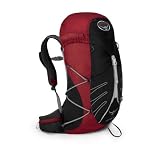 Osprey Hornet 32 Backpack