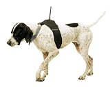 Garmin Astro DC-20 Harness