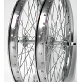 Wheel Master Rear Bicycle Wheel 20 x 2.125, 36H Steel, Bolt On, Silver