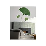 Plage  Ginkgo Biloba