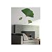 Plage&Acirc;&reg; Ginkgo Biloba