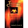 Trinitarian Christology: The Power that Sets us Free