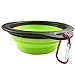 Arlie Pet Silicone Foldable Bowl - Retractable Travel Protable Water Bottle/Dish with a Metal Carabiner, Also Can Used as Flying Disc Toy for Dogs & Cats, Green