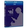 Il Colore Viola