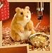 Stuffed Hamster