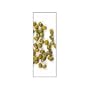 Green Mung Beans (12 ounce)