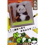 CU ZOO！！キューズー！！ New CUPanda ニューキューパンダ 全12種セットイメージ