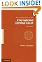 An Introduction to the International Criminal Court