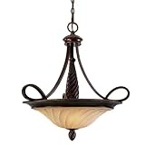 Golden Lighting 8106-3P CDB Torbellino Pendant Bowl - Cordoban Bronze Finish