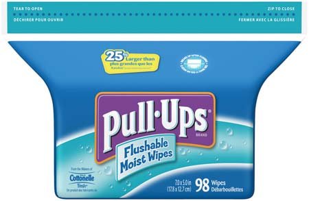 Cleanteam Flushable Moist Wipes Blue Melon Splash