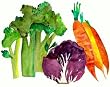 Vegetables - Fresh, Original Design on a Pure Cotton Kitchen Towel