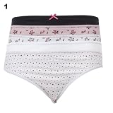 Womens/Ladies Underwear High Leg Briefs (Pack of 5)