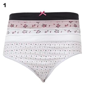 Womens/Ladies Underwear High Leg Briefs (Pack of 5)