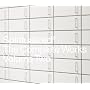 The Complete Works, Vol. 2