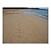 Footprints in the Sand
