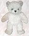 Teenie Teddies White Bear 7" - Make Your Own Stuffed Animal Kit