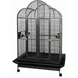 Bird Cages : Scalloped Top Bird Cage CFDS-DV483578-4001 by CagesUnder500Dollars.com