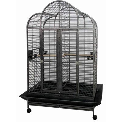 Bird Cages : Scalloped Top Bird Cage CFDS-DV483578-4001