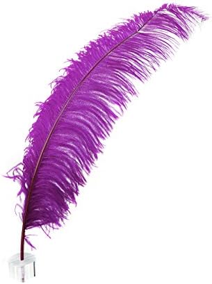 ZUCKER Very Berry Natural Ostrich Feather Spads - 18-24" Wedding Centerpiece Decoration 12pc
