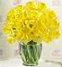 30 Fresh Cut Daffodils - Fresh Flowers - Spring Flowers